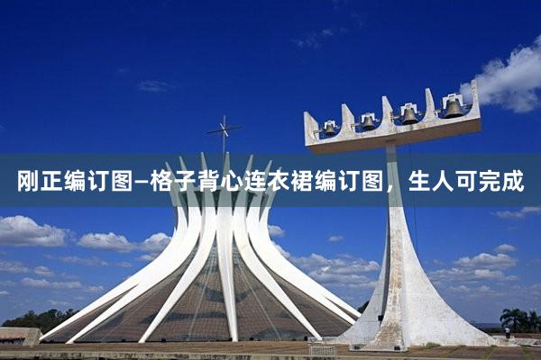 刚正编订图—格子背心连衣裙编订图，生人可完成