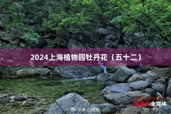 2024上海植物园牡丹花（五十二）