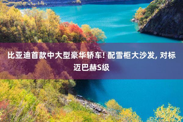 比亚迪首款中大型豪华轿车! 配雪柜大沙发, 对标迈巴赫S级
