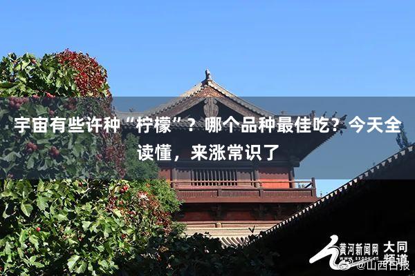 宇宙有些许种“柠檬”？哪个品种最佳吃？今天全读懂，来涨常识了