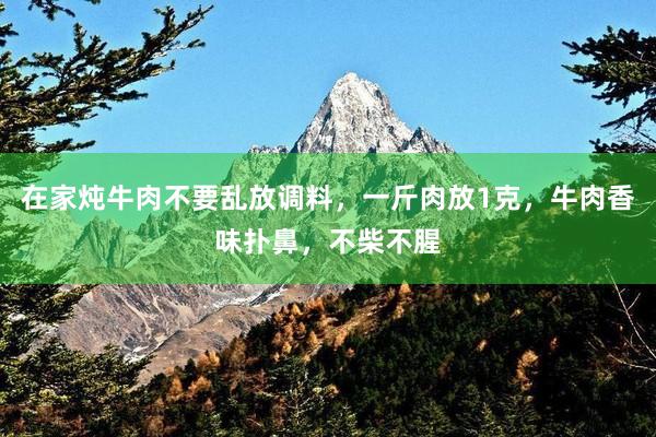 在家炖牛肉不要乱放调料，一斤肉放1克，牛肉香味扑鼻，不柴不腥