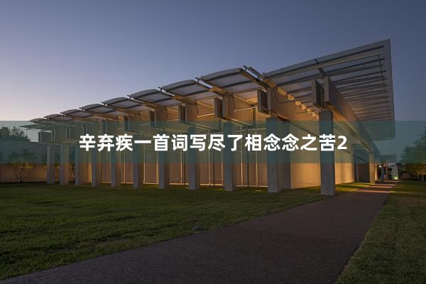 辛弃疾一首词写尽了相念念之苦2