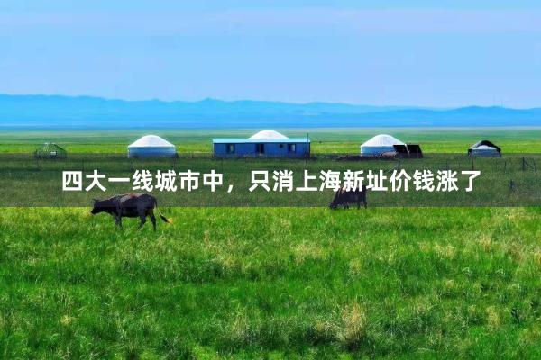 四大一线城市中，只消上海新址价钱涨了