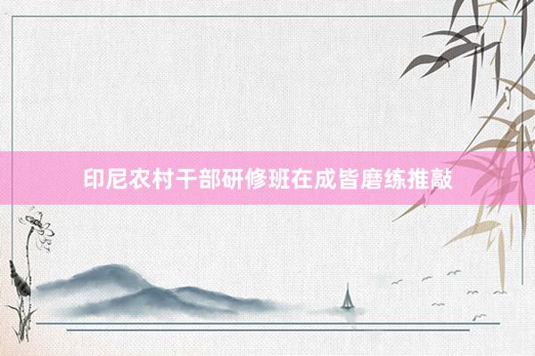 印尼农村干部研修班在成皆磨练推敲