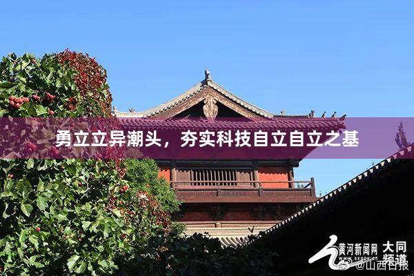 勇立立异潮头，夯实科技自立自立之基