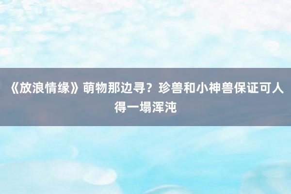 《放浪情缘》萌物那边寻？珍兽和小神兽保证可人得一塌浑沌